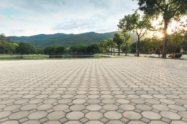 Best Residential Paver Driveway  in Belmont, WI